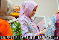 Ramaikan HUT ke-45 Dekranas di Balikpapan, Febrita Lustia Bawa Misi Kerajinan Sumsel 