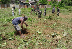 Ketahanan Pangan, Satgas Yonif 144 Jaya Yudha Gelar Karya Bakti, Seperti Apa?