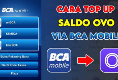 Cara Mudah Top Up OVO Lewat Mobile Banking BCA, Cepat dan Tanpa Ribet!