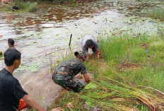 Antisipasi Banjir, Satgas TMMD ke-127 Bersama Warga Wonosari Normalisasi Aliran Sungai