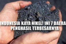 Indonesia Penghasil Nikel Terbesar Dunia, Ini Daerah Utamanya