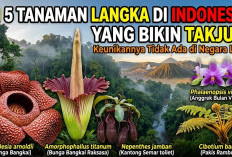 5 Tanaman Langka di Indonesia yang Bikin Takjub, Keunikannya Bahkan Tidak Mudah Ditemukan di Negara Lain