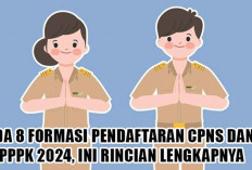Info Terbaru! Ada 8 Formasi Pendaftaran CPNS dan PPPK 2024, Ini Rincian Lengkapnya