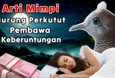 9 Arti Mimpi Burung Perkutut, Ada Pesan Bakal Ditimpa Rezeki Berlimpah 