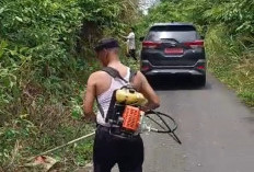 PERCANTIK! Kecamatan Pulau Pinang Lahat Lakukan Tebas Bayang Sejauh 500 Meter, Ini Tujuannya