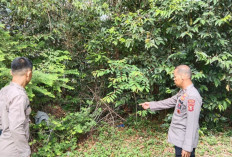 Hotspot Karhutla Nihil di Wilayah Hukumnya, Polsek Tanjung Batu Minta Masyarakat Tetap Waspada