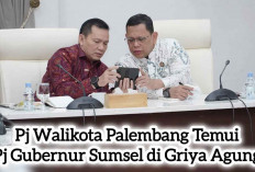 Pj Walikota Palembang Temui Pj Gubernur Sumsel di Griya Agung, Bahas Apa?