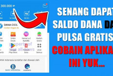 Senang Dapat Saldo DANA dan Pulsa Gratis! Cobain Aplikasi Ini Yuk...