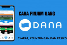 Syarat dan Cara Pinjam Uang di DANA, Keuntungan dan Resiko!