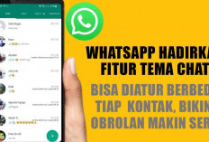 WhatsApp Hadirkan Fitur Tema Chat, Bisa Diubah Tiap Kontak, Bikin Obrolan Makin Seru