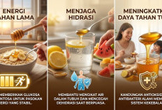 Rahasia Puasa Tetap Kuat dan Bertenaga! 6 Manfaat Konsumsi Madu Saat Sahur yang Bikin Stamina Stabil Seharian