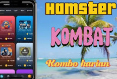 Jangan Lewatkan! Klaim Bonus 6 Juta Koin dengan Combo Harian Hamster Combat Edisi 2 Agustus 2024, Gercep Guys