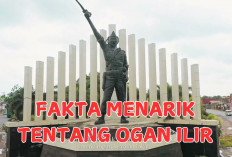 7 Fakta Menarik Tentang Ogan Ilir, Ternyata Penghasil Nanas Terbesar di Sumsel!