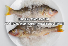 Jangan Makan Ikan Ini Jika Tidak Ingin Kaer Kolesterol Makin Tinggi