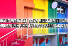 Jangan Ikut Tren, Coba 9 Warna Cat Teras Minimalis Ini untuk Tampilan Unik Bikin Tetangga Berdecak Kagum