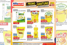 Tunggu Apalagi! Dapatkan Promo Alfamart, Dapatkan Diskon Setiap Pembelian Produk dari Produk Gajian Untung