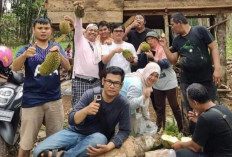 Bukan Palembang! Inilah Top 3 Rajanya Penghasil Durian di Sumatera Selatan