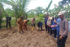Bhabinkamtibmas Polsek Rantau Alai Hadir dan Ikuti Penanaman Jagung di Desa Tanjung Mas