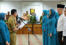 Dewi Sastrani Dipercaya Pimpin TP PKK Palembang, Siap Pensiun Dini Demi Pengabdian