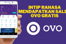 Intip Rahasia Mendapatkan Saldo OVO Gratis dengan Mudah, Ikuti Trik Ini!