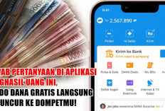 Jawab Pertanyaan di Aplikasi Penghasil Uang Ini, Saldo DANA Gratis Langsung Meluncur ke Dompetmu!