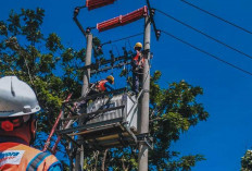 Tarif Listrik Triwulan I 2026 Tidak Naik, Berikut Penjelasannya