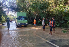 Waspada 3 Kabupaten di Sumsel Ini Rawan Banjir! Sungai Komering Meluap dan Merendam Rumah Warga 
