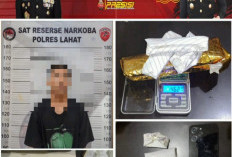 Wow, 46,27 Gram Ganja Kering Berhasil Diamankan Satres Narkoba Polres Lahat