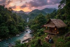 Hidden Gems! Rekomendasi Destinasi Wisata Alam Tersembunyi Bertema Eco-Tourism di Indonesia dengan Biaya Murah