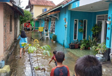 Penyebab Banjir Tak Kunjung Surut di Jalan Panca Usaha dan Sultan M Mansyur Palembang