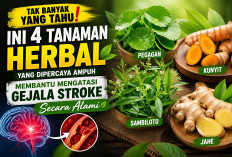 Tak Banyak yang Tahu! Ini 4 Tanaman Herbal yang Dipercaya Ampuh Membantu Mengatasi Gejala Stroke Secara Alami
