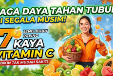 Jaga Daya Tahan Tubuh di Segala Musim! Ini 7 Jenis Buah Paling Kaya Vitamin C yang Bikin Tak Mudah Sakit