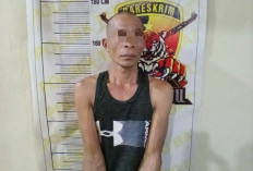 Nekat Curi HP, Pria 43 Tahun di Ogan Ilir Ini Tak Berkutik Ditangkap Polisi