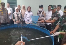 WOW! Koramil 405-02/Merapi Panen Ikan Patin hingga 4 Kuintal, Ini Pesan Dandim