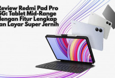 Harga Mulai Rp 4,3 Juta! Review Redmi Pad Pro 5G: Tablet Mid-Range dengan Fitur Lengkap dan Layar Super Jernih