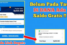 Cara Cepat Klaim Saldo DANA Gratis Rp300.000 Hari Ini Senin 5 Agustus 2024, Download Aplikasi berikut!