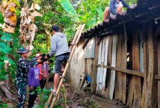 Tanpa Sekat! Kompaknya Prajurit TNI dan Warga Gompyong Bedah Rumah Tak Layak Huni
