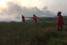 Sudah 2 Hari Karhutla di Lahan Gambut Desa Kayu Labu OKI, Ini Total Luas Terbakar 