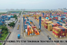 Ekspor Tumbuh 20,54%! Arus Peti Kemas TPS Juli 2026 Melonjak 11,79% Berkat Modernisasi Alat