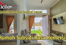 Spill Rumah Subsidi Rasa Komersil: Desain Estetik yang Bikin Iri!