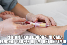 Pertama Kali Donor? Ini Cara Lengkap Proses di PMI untuk Pemula