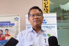 UIN Raden Fatah Palembang Melejit, Ini Jumlah Publikasi Ilmiah Berhasil Tembus Jurnal Scopus Q1