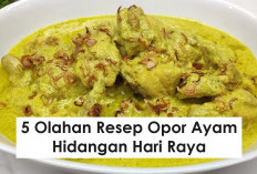 5 Olahan Resep Opor Ayam Buat Hidangan Hari Raya, Kumpul Keluarga Sambut Kemenangan Idul Fitri 1445