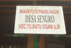 3 Tempat Wisata Religi di Ogan Ilir, Mulai Masjid Bajumi Wahab Hingga Makam Putri Pinang Masak Senuro!