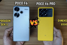 Review Perbandingan Spesifikasi POCO F6 vs POCO X6 Pro 5G, Mana yang Lebih Unggul?