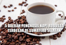 Inilah 5 Daerah Penghasil Kopi Robusta Terbesar di Sumatera Selatan, Salah Satunya Miliki Panorama Bak Surga 