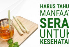 7 Khasiat Serai Sebagai Ramuan Herbal Alami, Ampuh Menyembuhkan Berbagai Keluhan Penyakit Tanpa Efek Samping