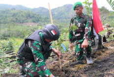 Kembalikan Fungsi Lahan, Dandim Bangka Wilayah Kodam II/SWj Bersama Pemda Tanam Pohon Serentak