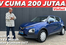 VinFast VF 5 2025: Mobil Listrik Mungil Bikin Lo Makin Stylish, Ramah Lingkungan dan Gak Bikin Dompet Nangis!