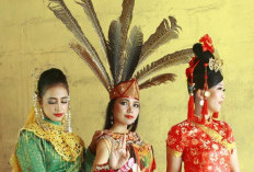 Suku-suku di Provinsi Kalimantan Barat: Suku Dayak dan Melayu Dominan, dan Banyak Masyarakat Tionghoa di Sana